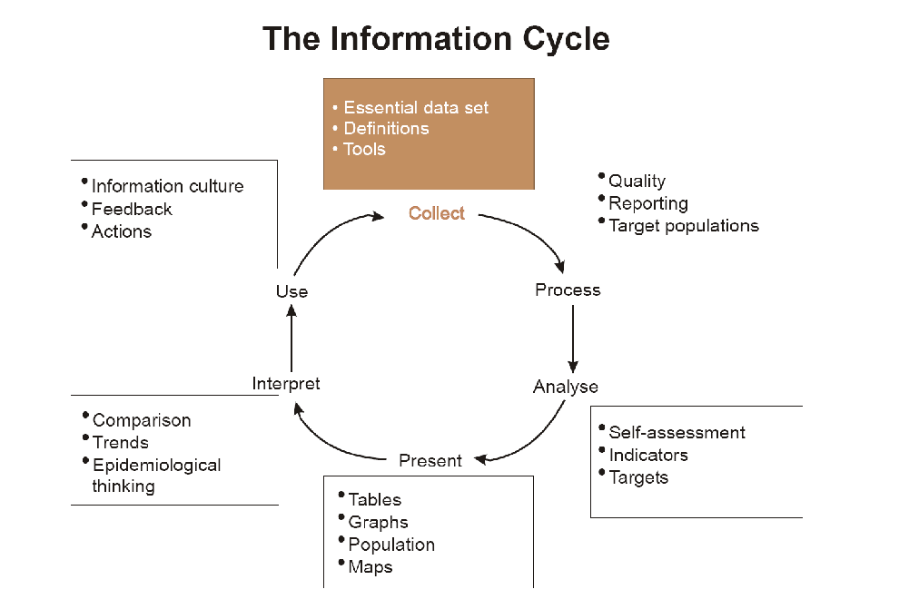 The health information
cycle